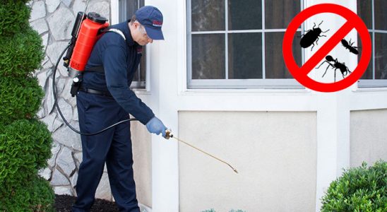 Şişli Böcek ve Haşere İlaçlama böcek ilaçlama ve haşere kontrolü — ilaclama-tr.com